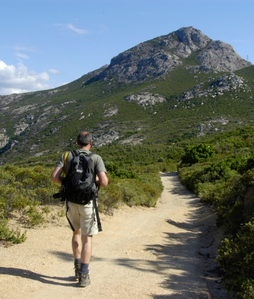Hiking